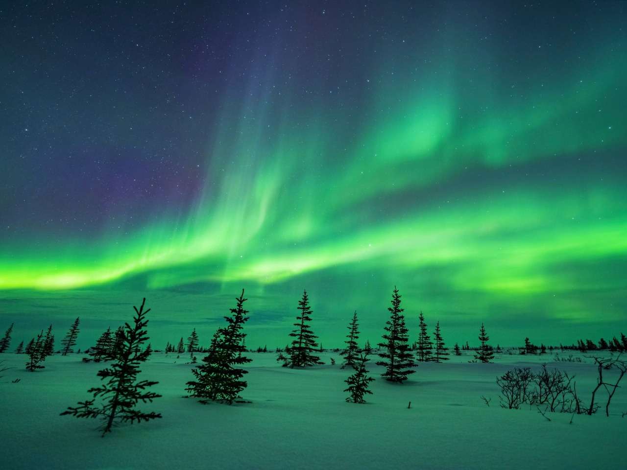 Aurora boreală în Churchill, Manitoba, o minune naturală puzzle online