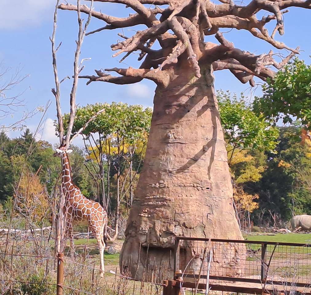 Žirafa V Létě online puzzle