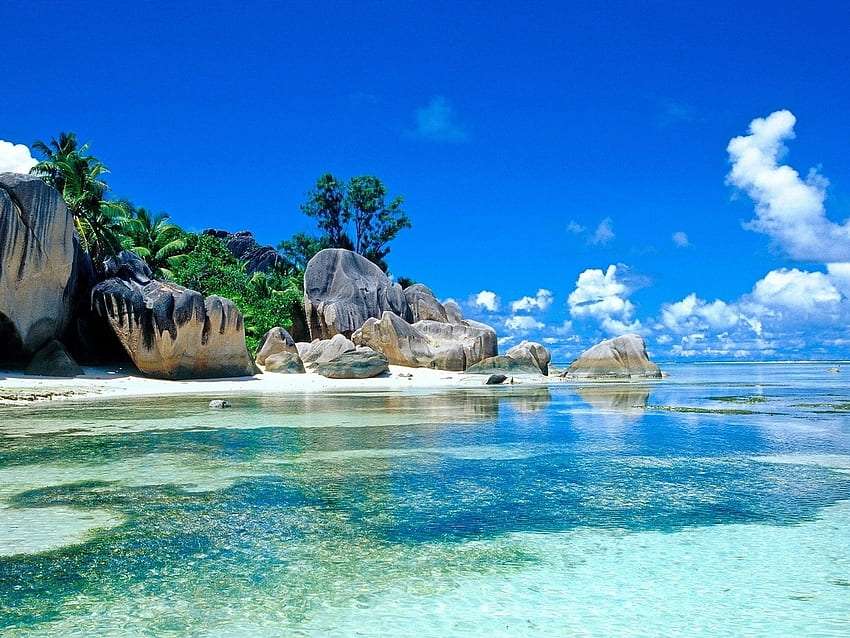 Una spiaggia da favola alle Seychelles, qualcosa di bellissimo puzzle online