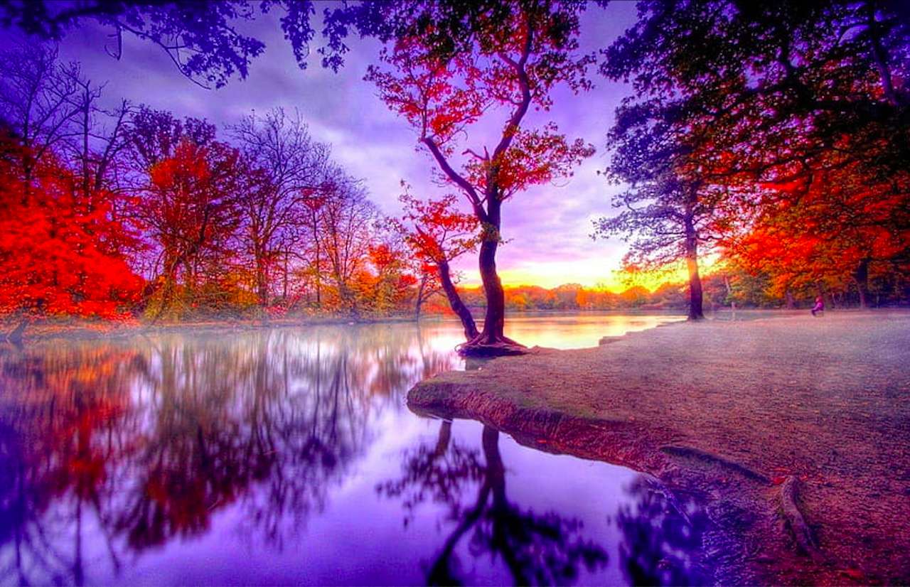 À travers un magnifique coucher de soleil d'automne, la beauté ravit puzzle en ligne