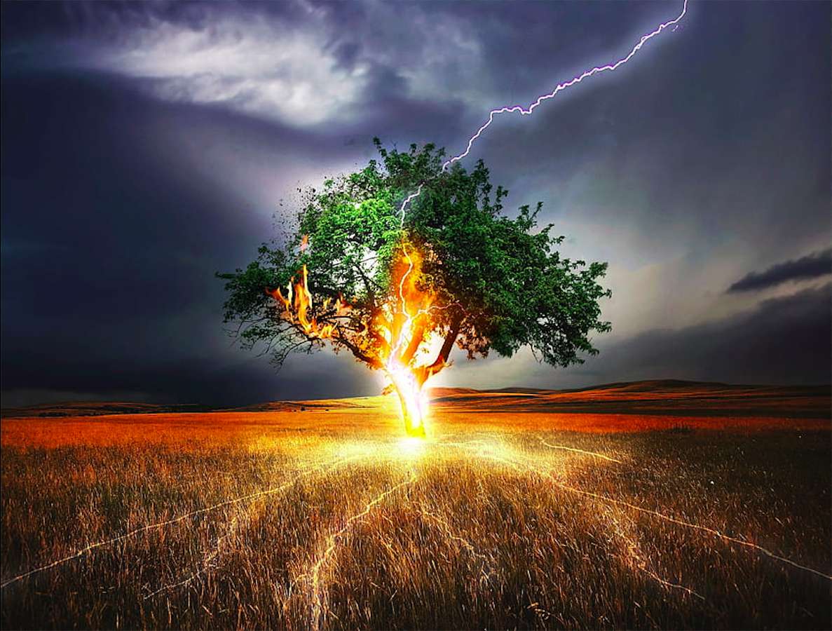 Ein Blitz und ein einsamer Baum, irgendwie beängstigend Puzzlespiel online