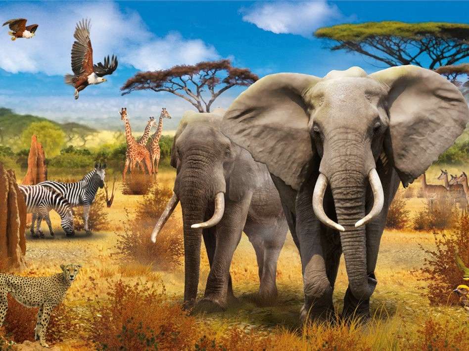 savanne dieren legpuzzel online