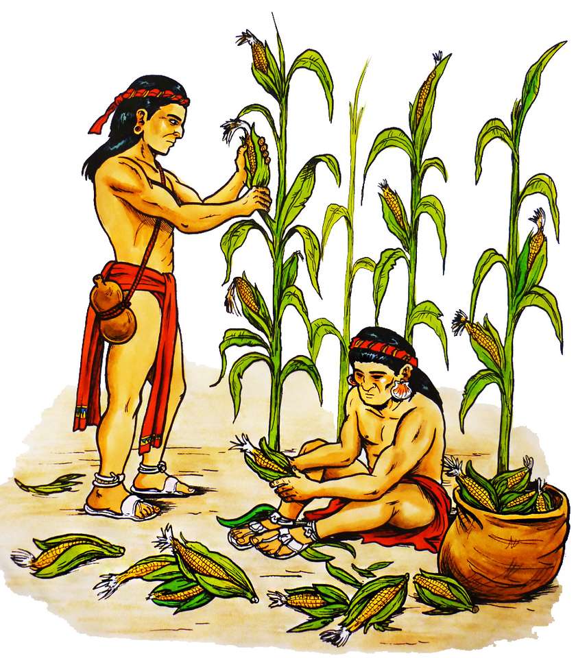 Maya jordbruk pussel på nätet