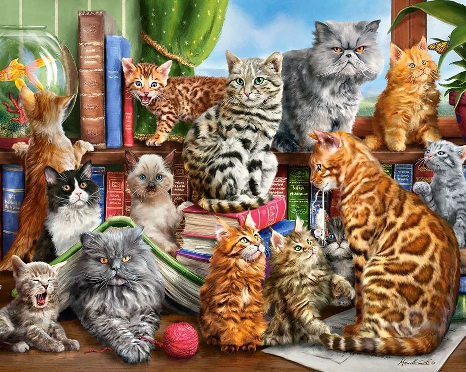 Diferite rase de pisica jigsaw puzzle online