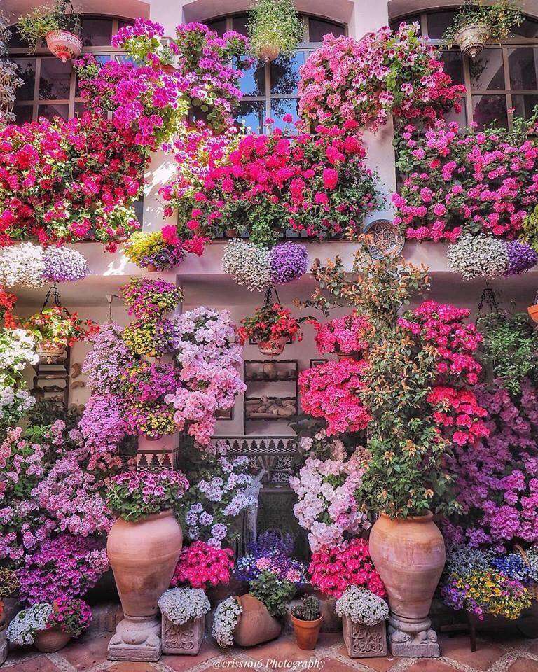 Цветочный дом пазл онлайн