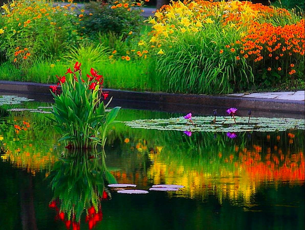 Lagoa colorida de outono, bela vista puzzle online