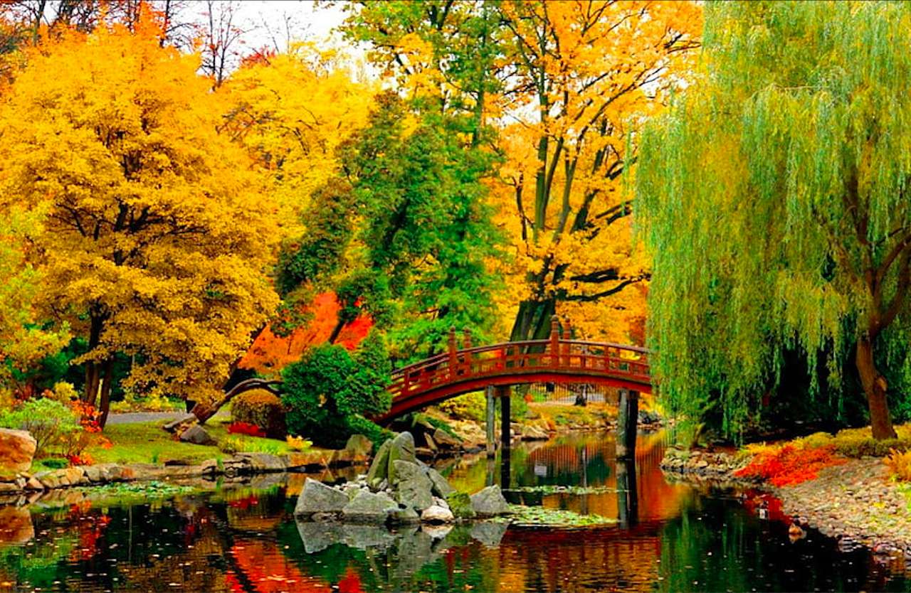 Jardín polaco-japonés en el parque de Wroclaw en otoño rompecabezas en línea