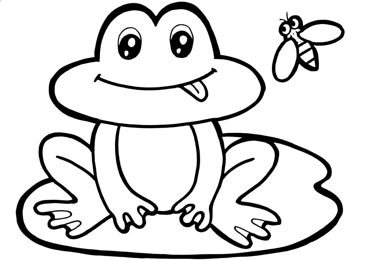 Frosch mit Fliege Puzzlespiel online