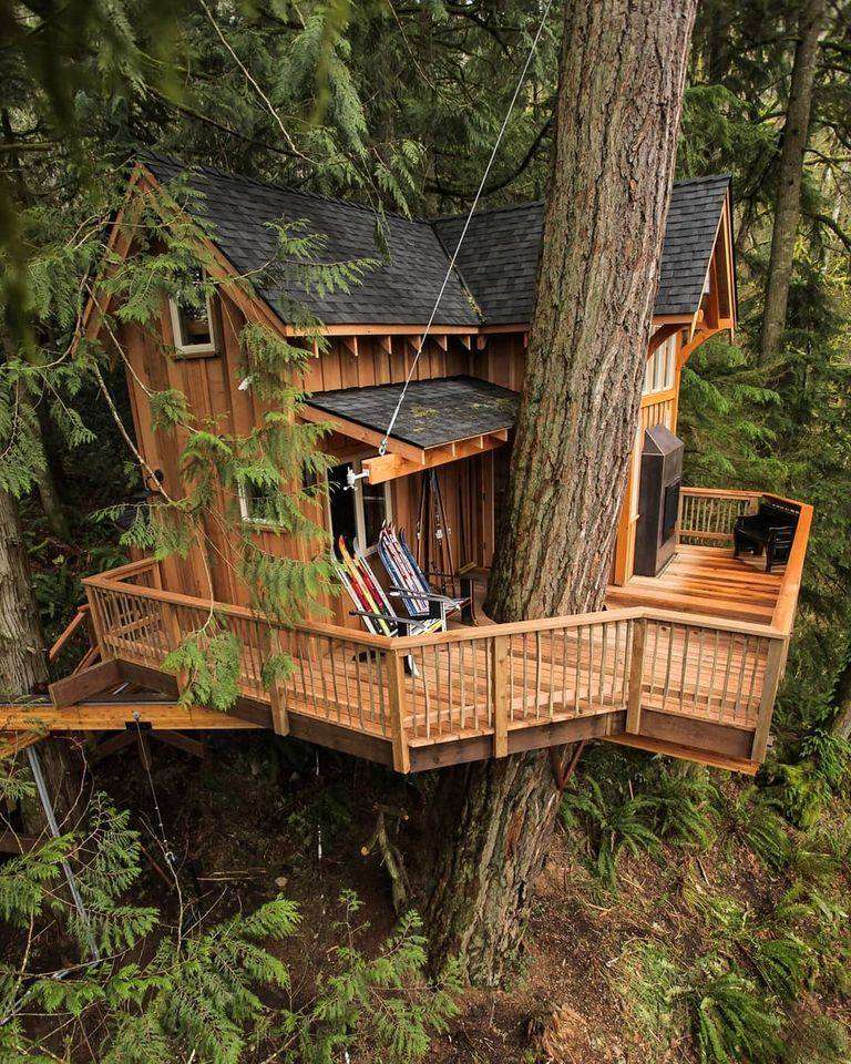 къща на дърво онлайн пъзел