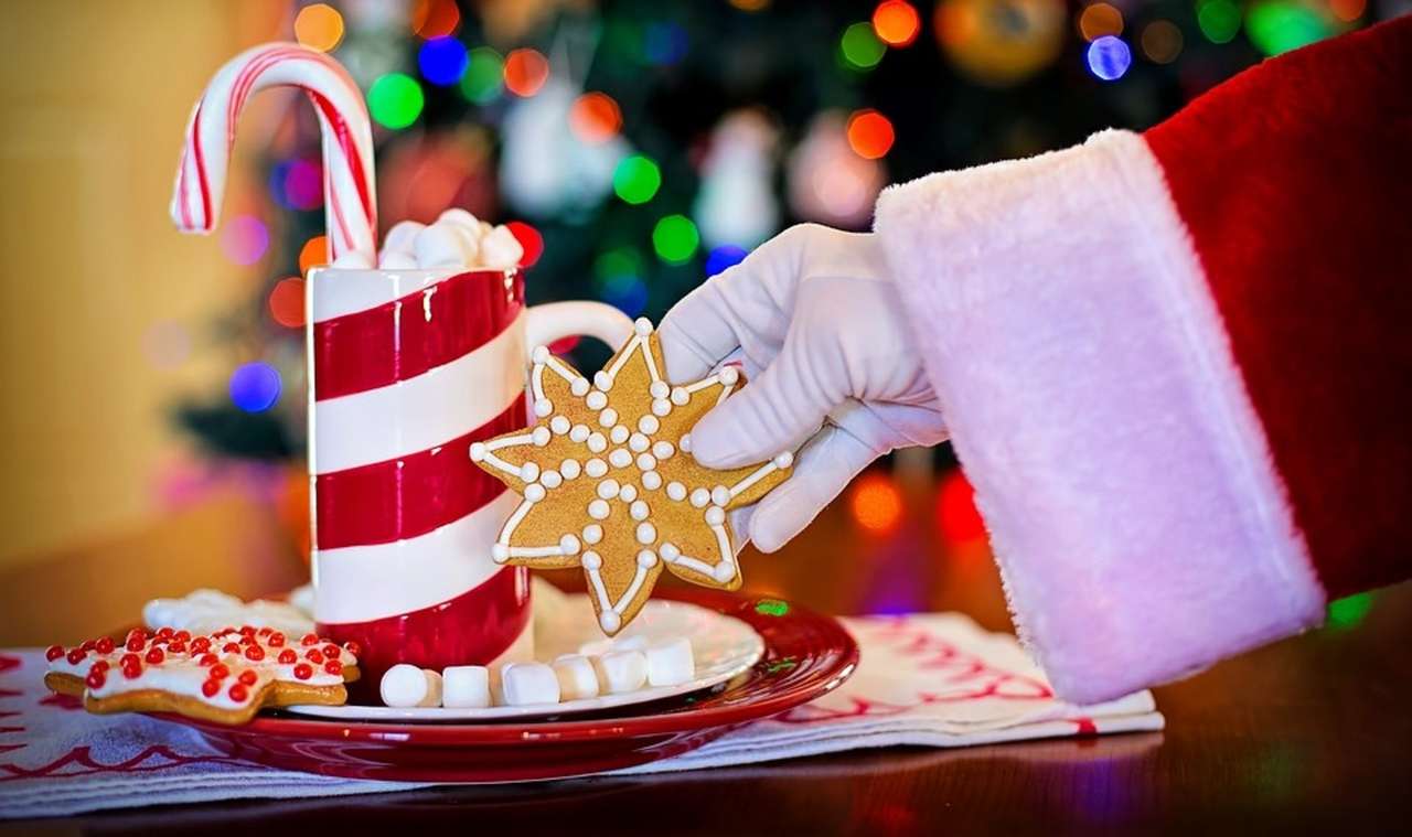 Άγιος Βασίλης και μπισκότα online παζλ