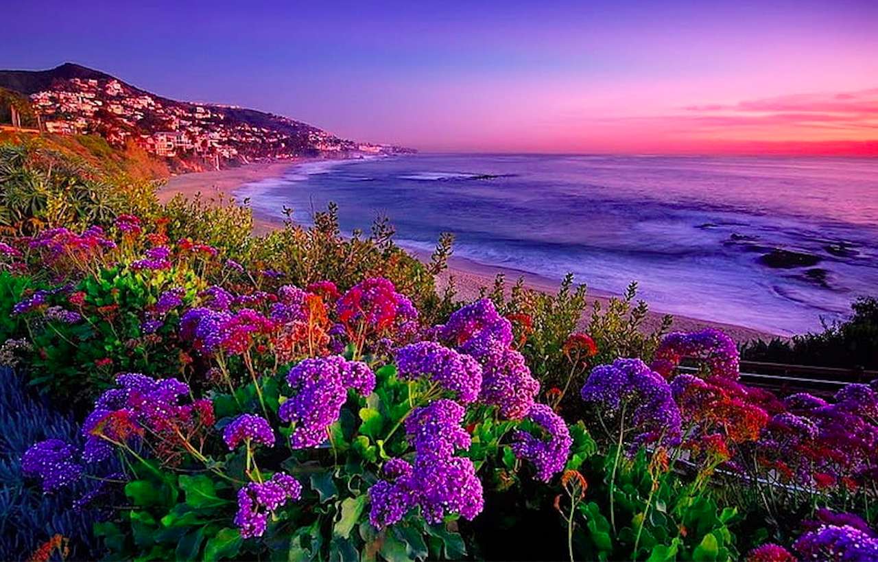 Costa floreale di Oahu Beach al tramonto, puzzle online