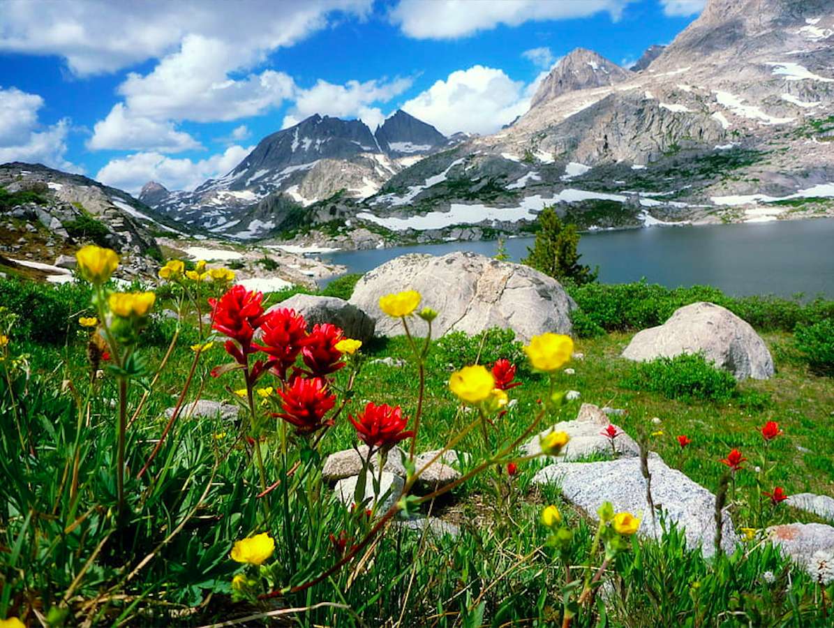 Lovely spring in the mountains :) jigsaw puzzle online