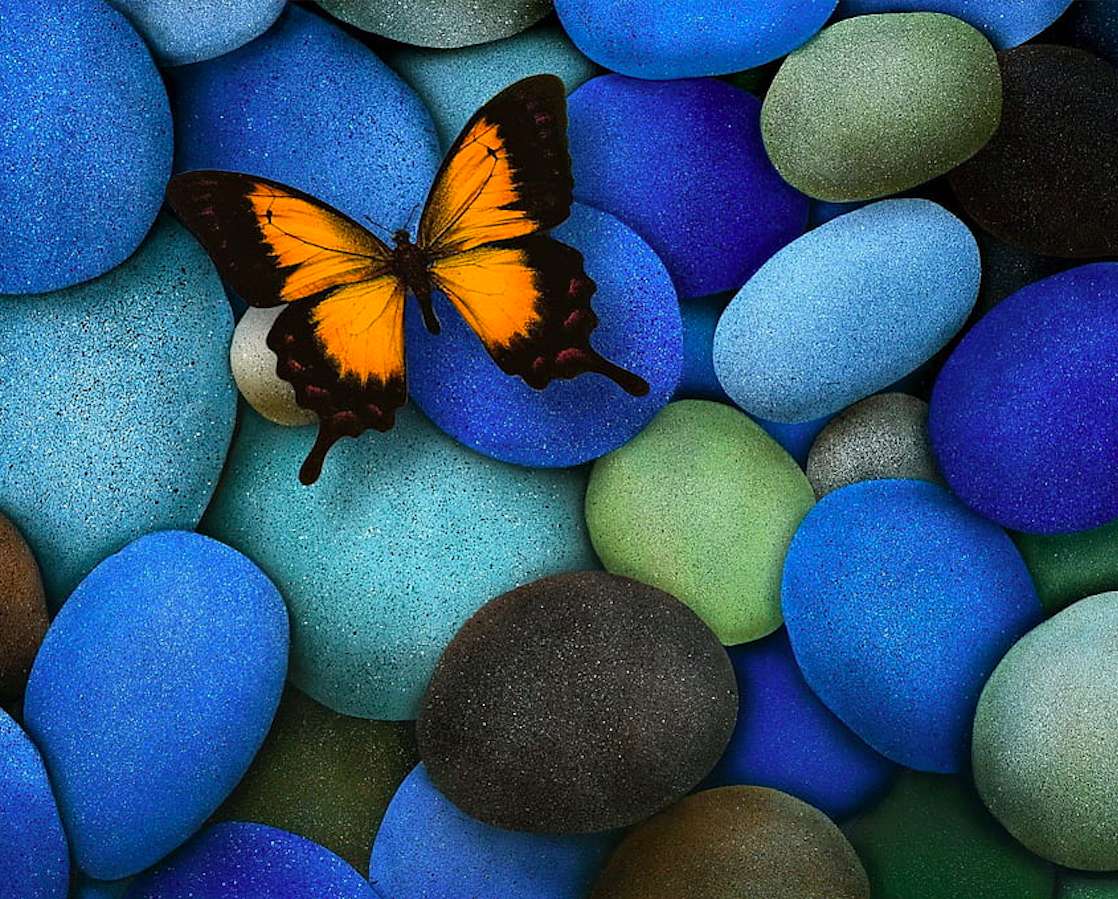En fjäril på blå stenar, något vackert pussel på nätet