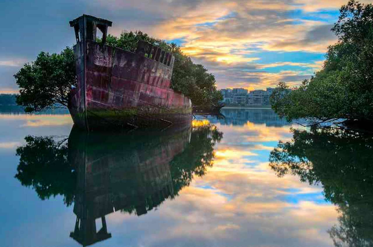 Sydney-Amazing-Floating Forest pussel på nätet