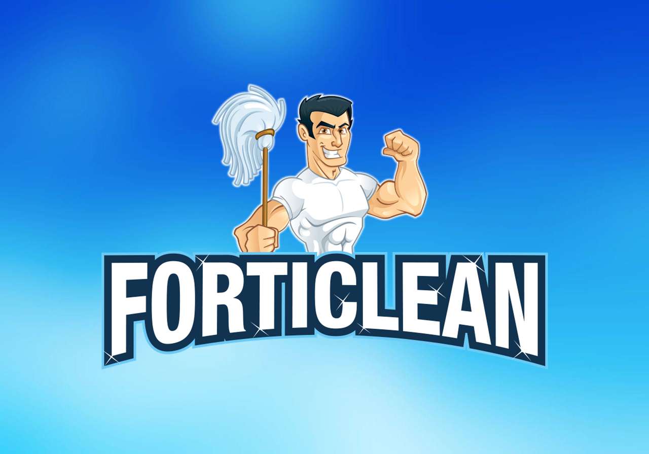 FORTICLEAN2 παζλ online