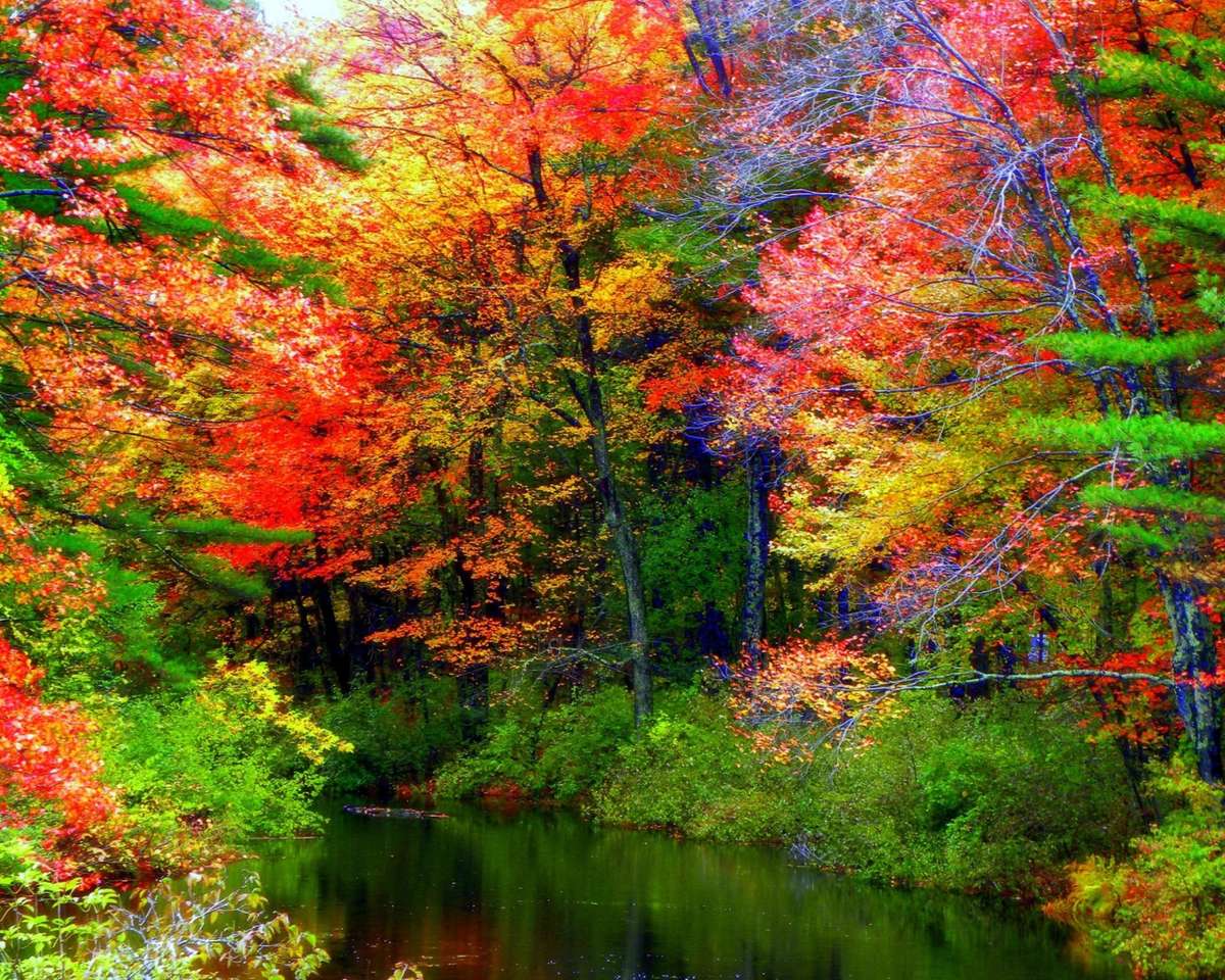 A beleza da floresta de outono à beira do rio, a vista é incrível puzzle online