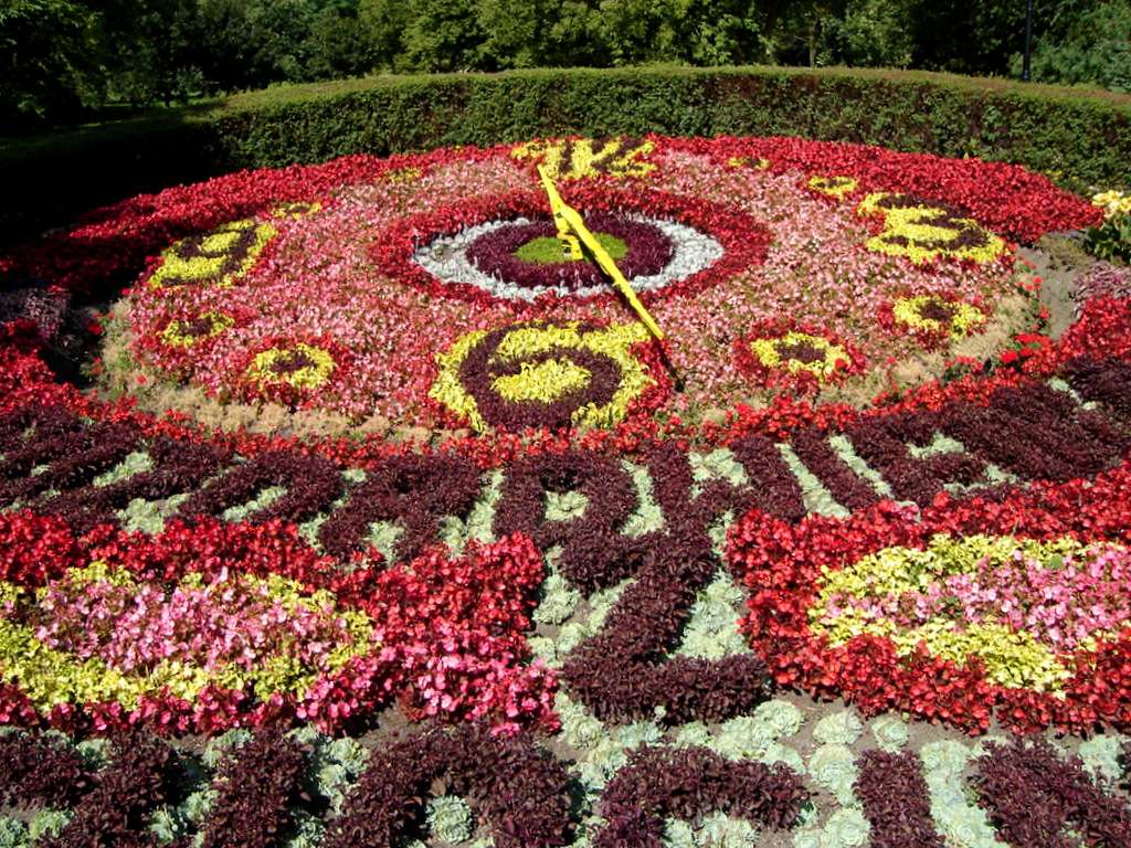 Ceas cu flori în Ciechocinek puzzle online