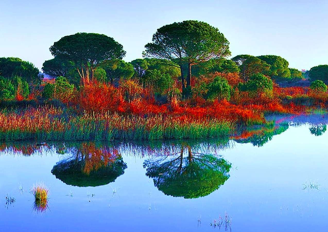 Affascinante albero semicircolare in riva al lago puzzle online