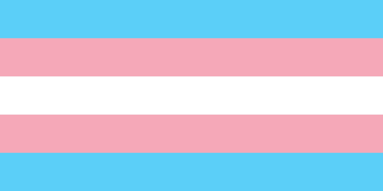 Trans vlajka online puzzle