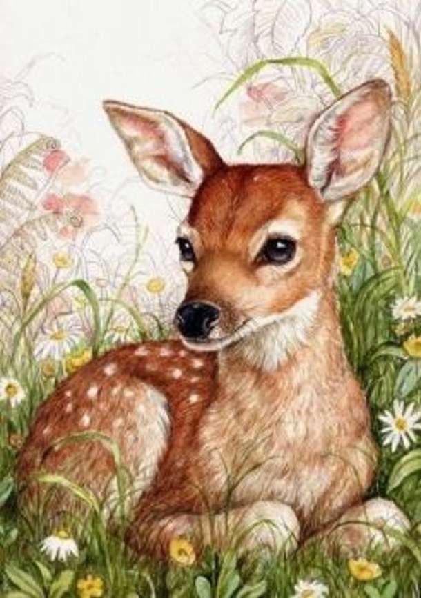 Fawn jigsaw puzzle online