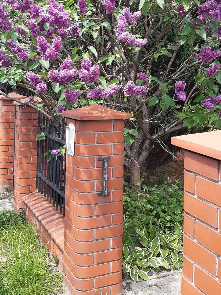 brick fence with lilacs and grass jigsaw puzzle online