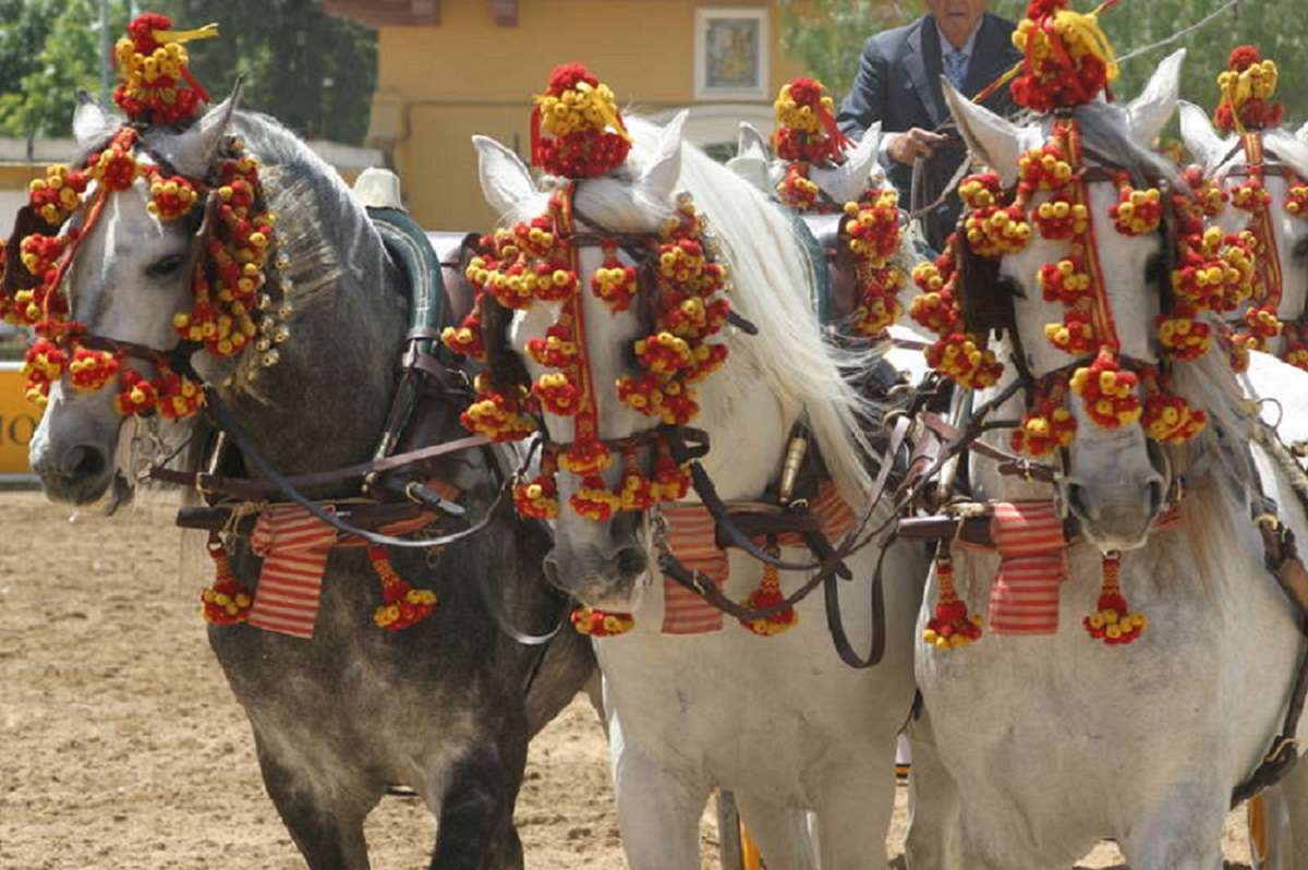 Foire aux chevaux - Jerez de la Frontera puzzle en ligne