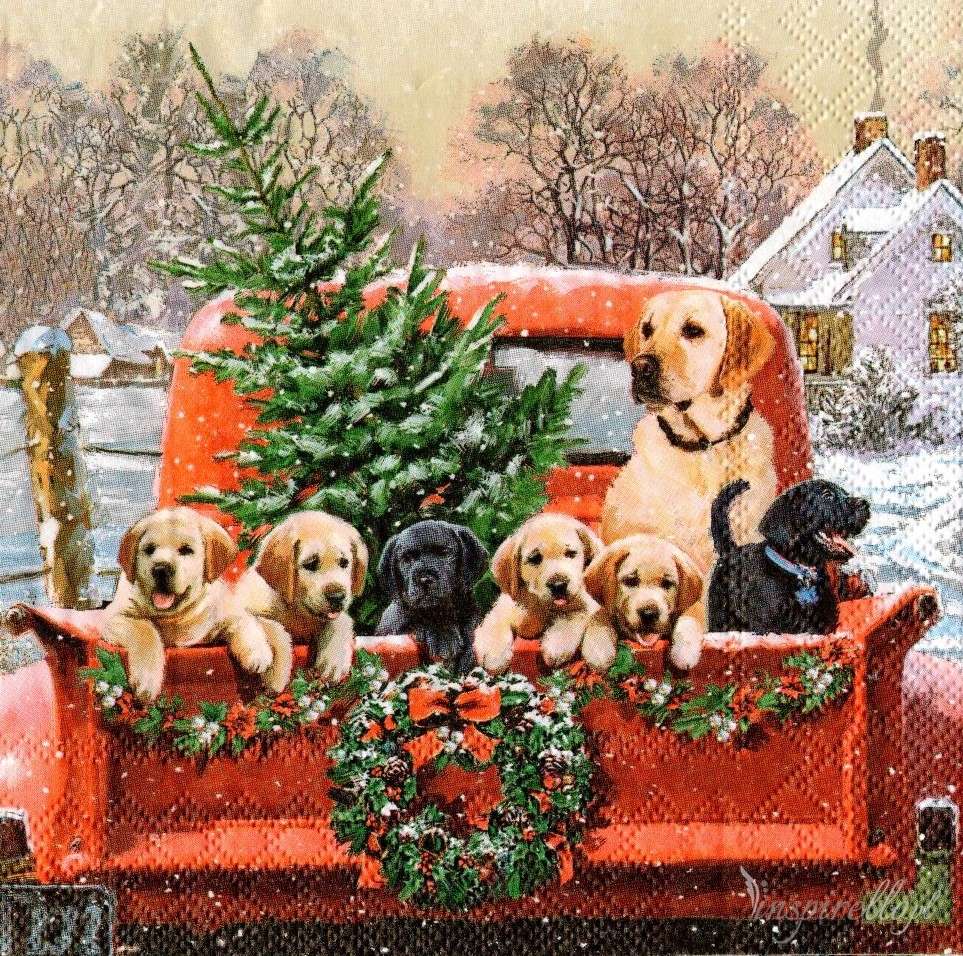 Рождественские собаки онлайн-пазл