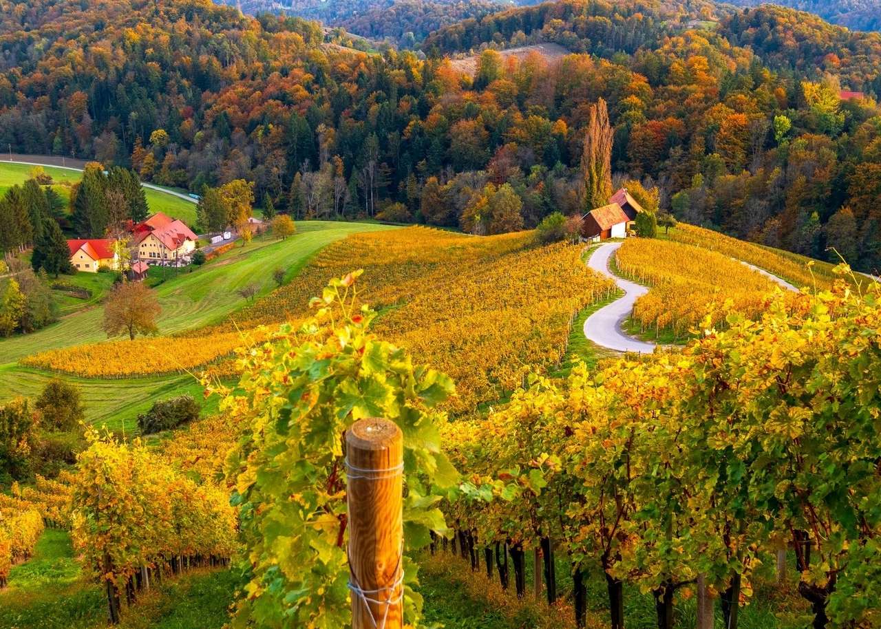 Weinberge in Slowenien im Herbst Online-Puzzle