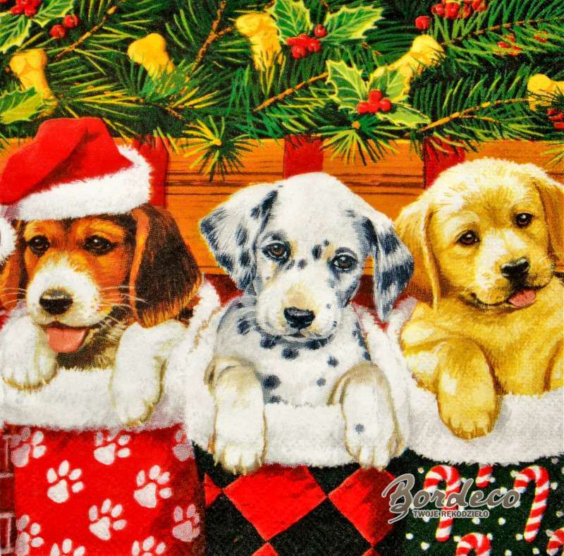 Drie honden op Kerstmis legpuzzel online