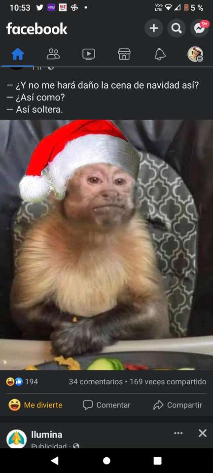 різдвяна мавпа онлайн пазл