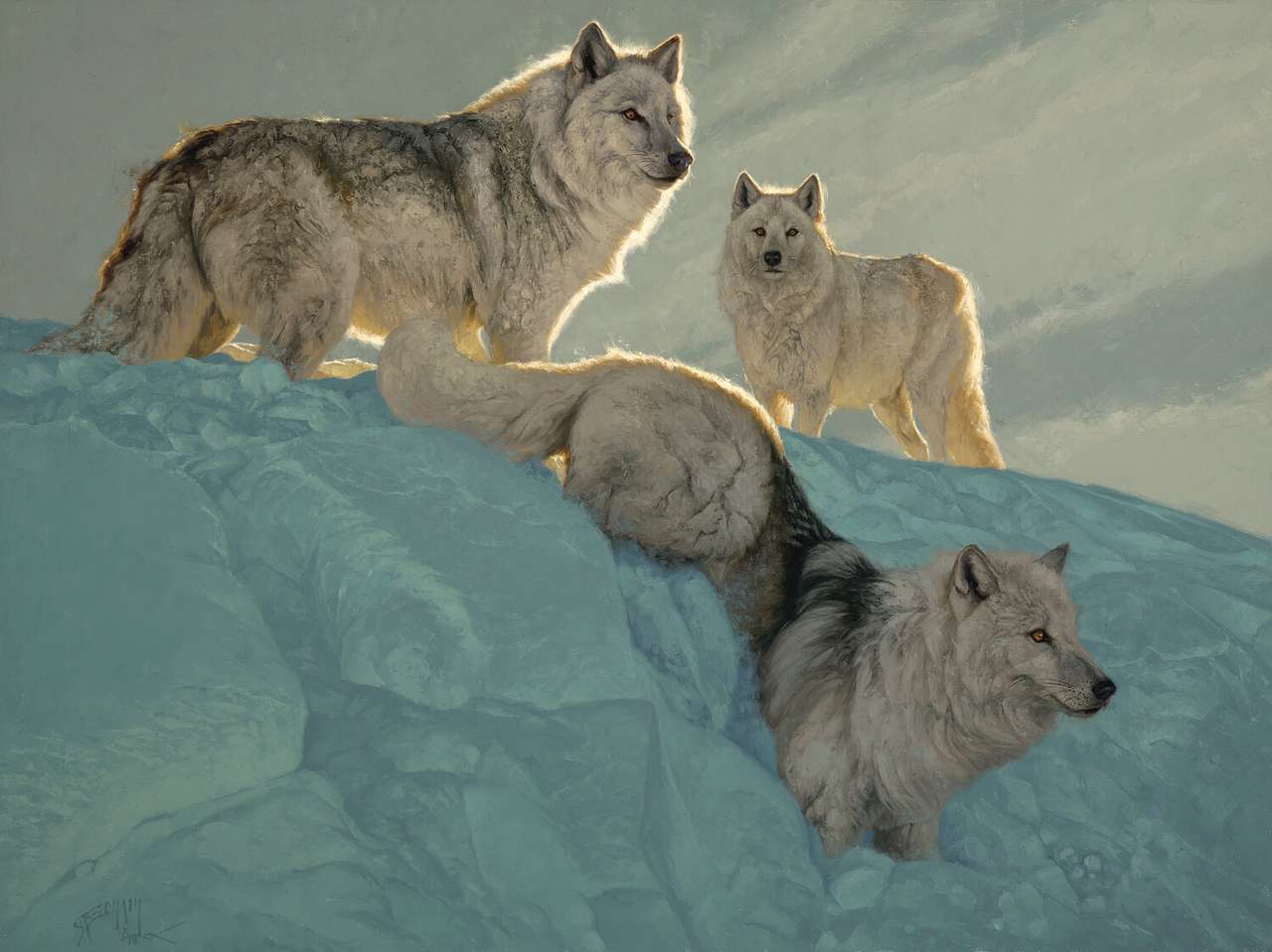 witte wolven legpuzzel online