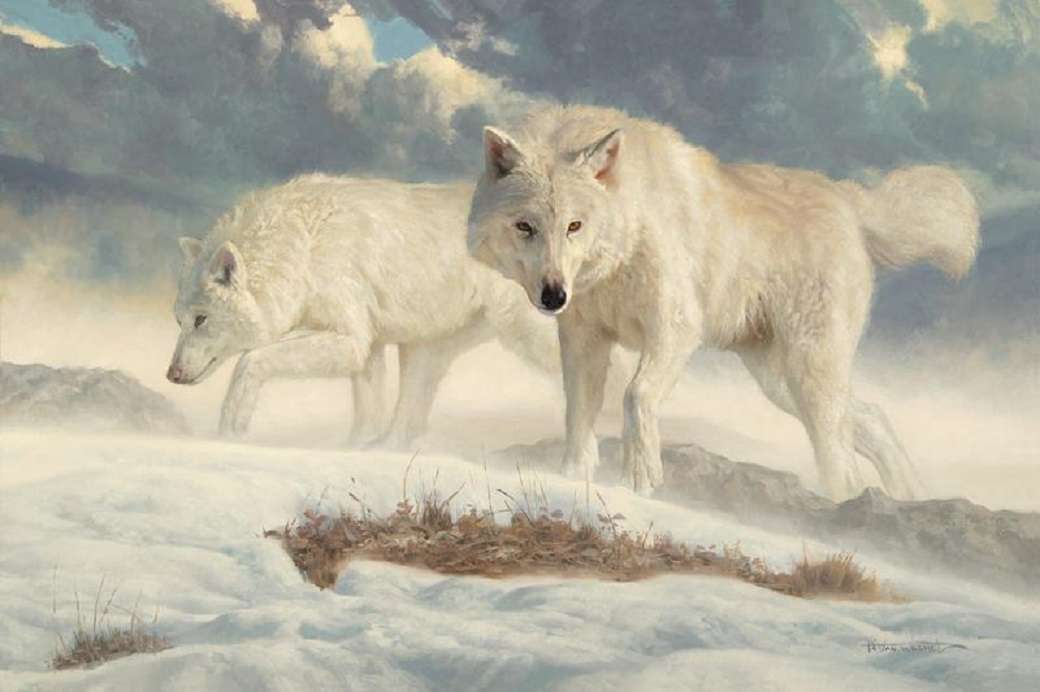 weiße Wölfe Online-Puzzle