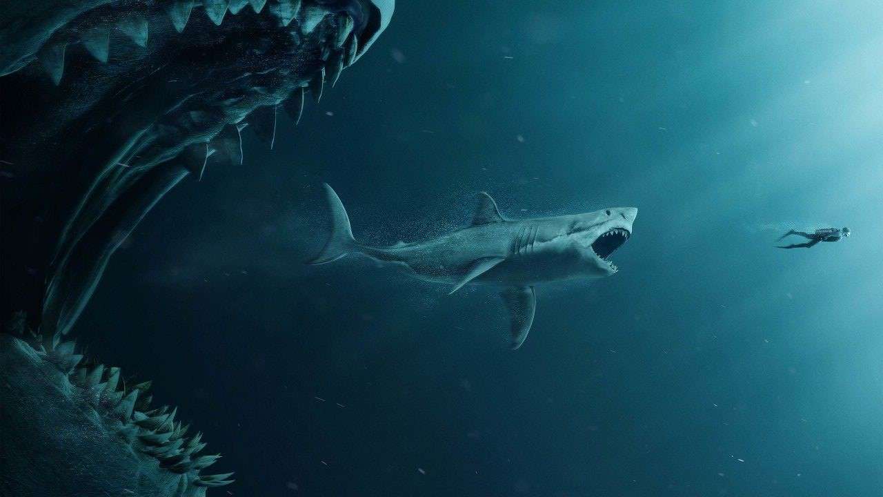 haai die haai achtervolgt online puzzel