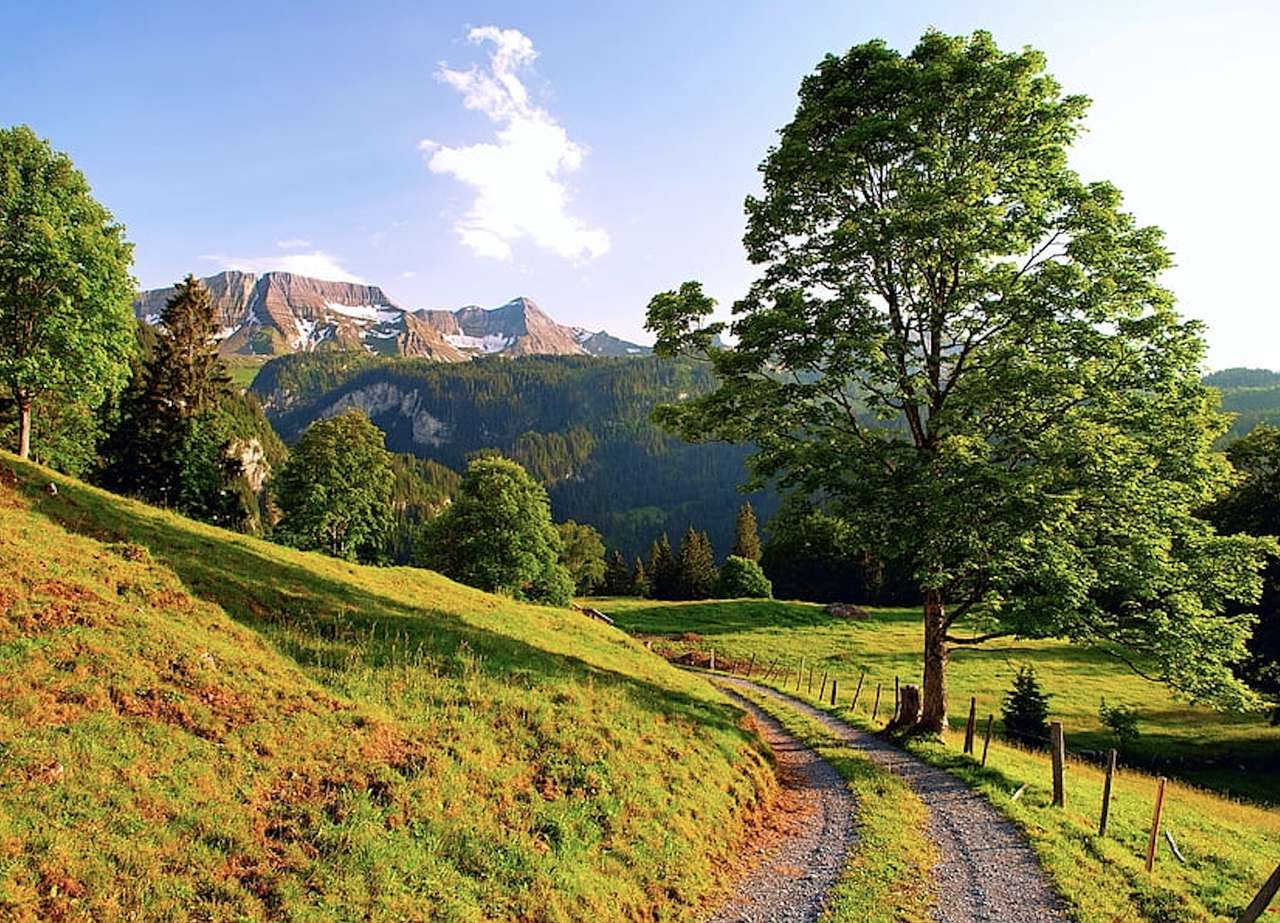 Suiza-Camino directo a las montañas, una vista encantadora rompecabezas en línea