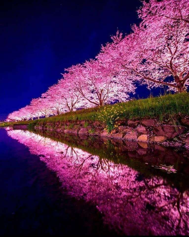 日本の美しい桜の木 オンラインパズル