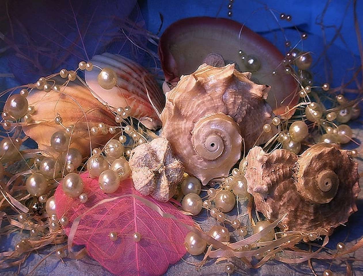 Perly, nádherné mušle, poklady oceánu skládačky online
