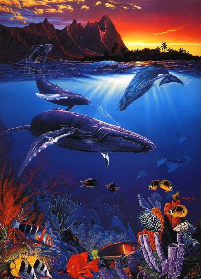 Beautiful and peaceful whales online puzzle