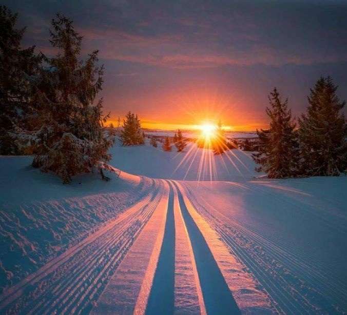 Snowy winter and sunset jigsaw puzzle online