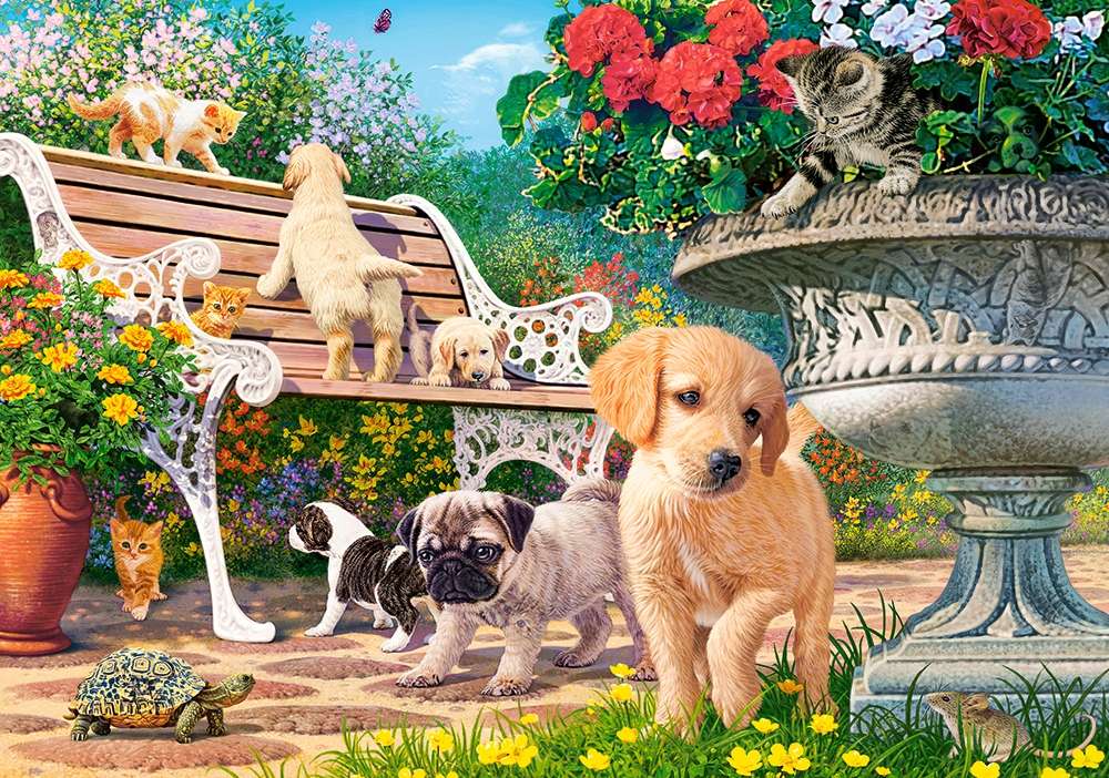 Psi a kočky a lavička online puzzle