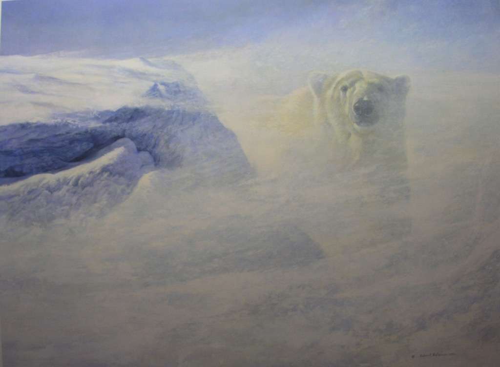 urso polar na neve puzzle online