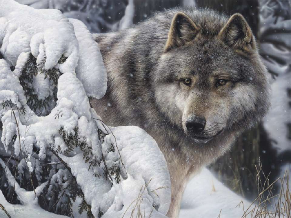 vlk ve sněhu skládačky online