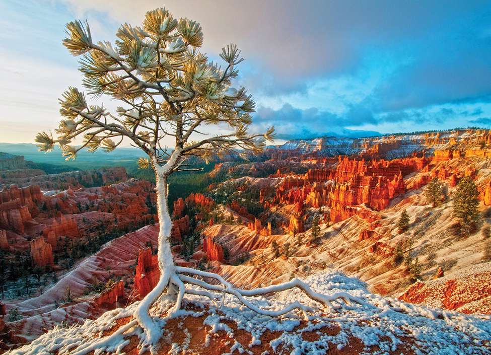 Lonely tree in the canyon at sunrise jigsaw puzzle online