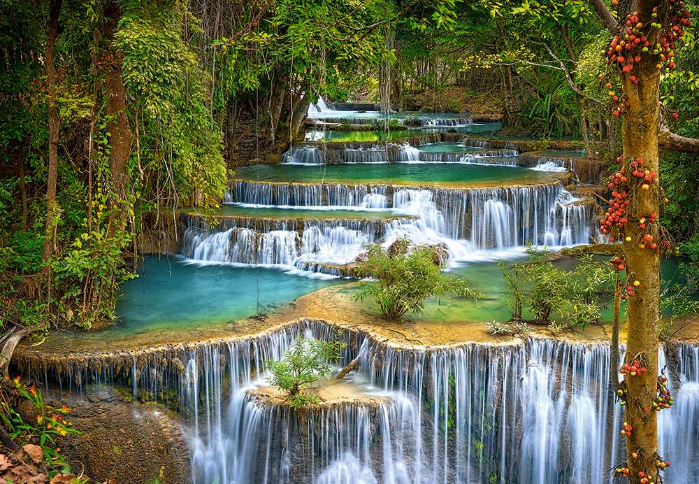 Favolosa meravigliosa cascata da giardino, che vista puzzle online
