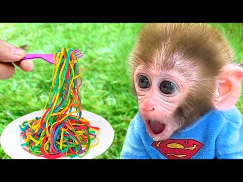 Милая маленькая обезьянка Биби #387 пазл онлайн