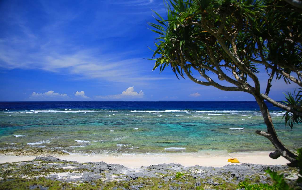 Praia tropical pitoresca quebra-cabeças online