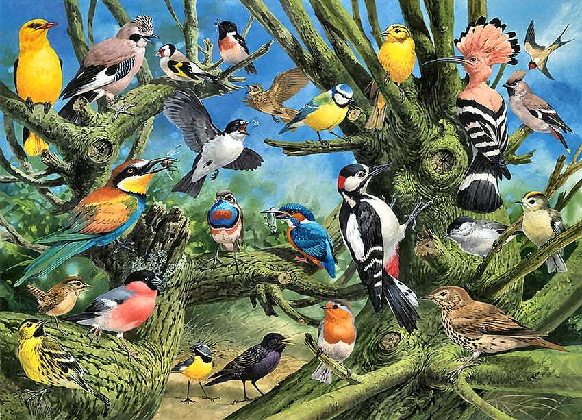 Παράδεισος κήπος πουλιών, η θέα τους απολαμβάνει παζλ online
