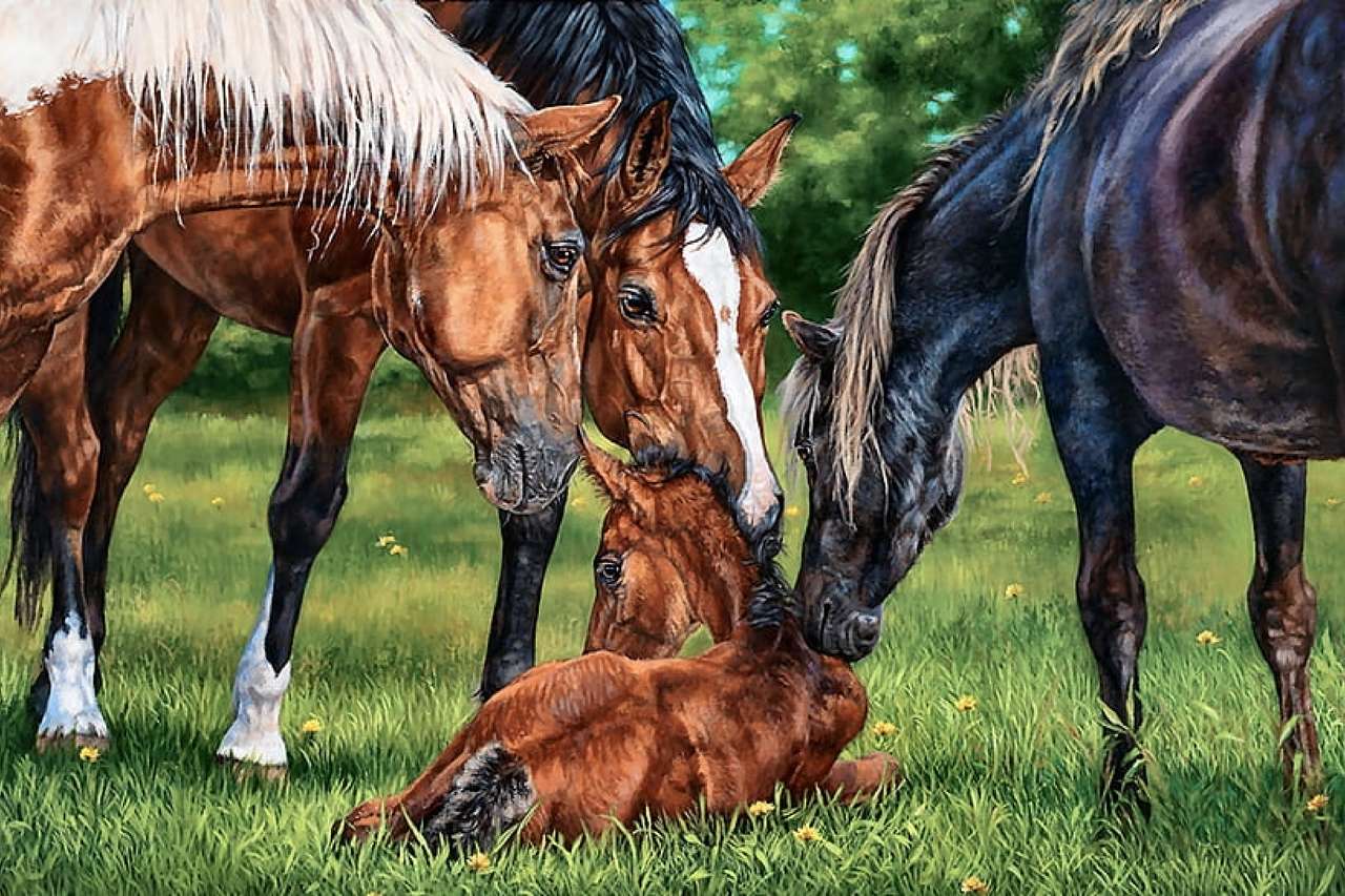 生まれたばかりの子馬を迎える、美しい景色 オンラインパズル
