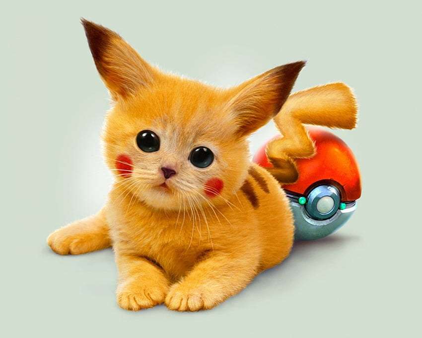 Pikachu - schattige kat :) online puzzel