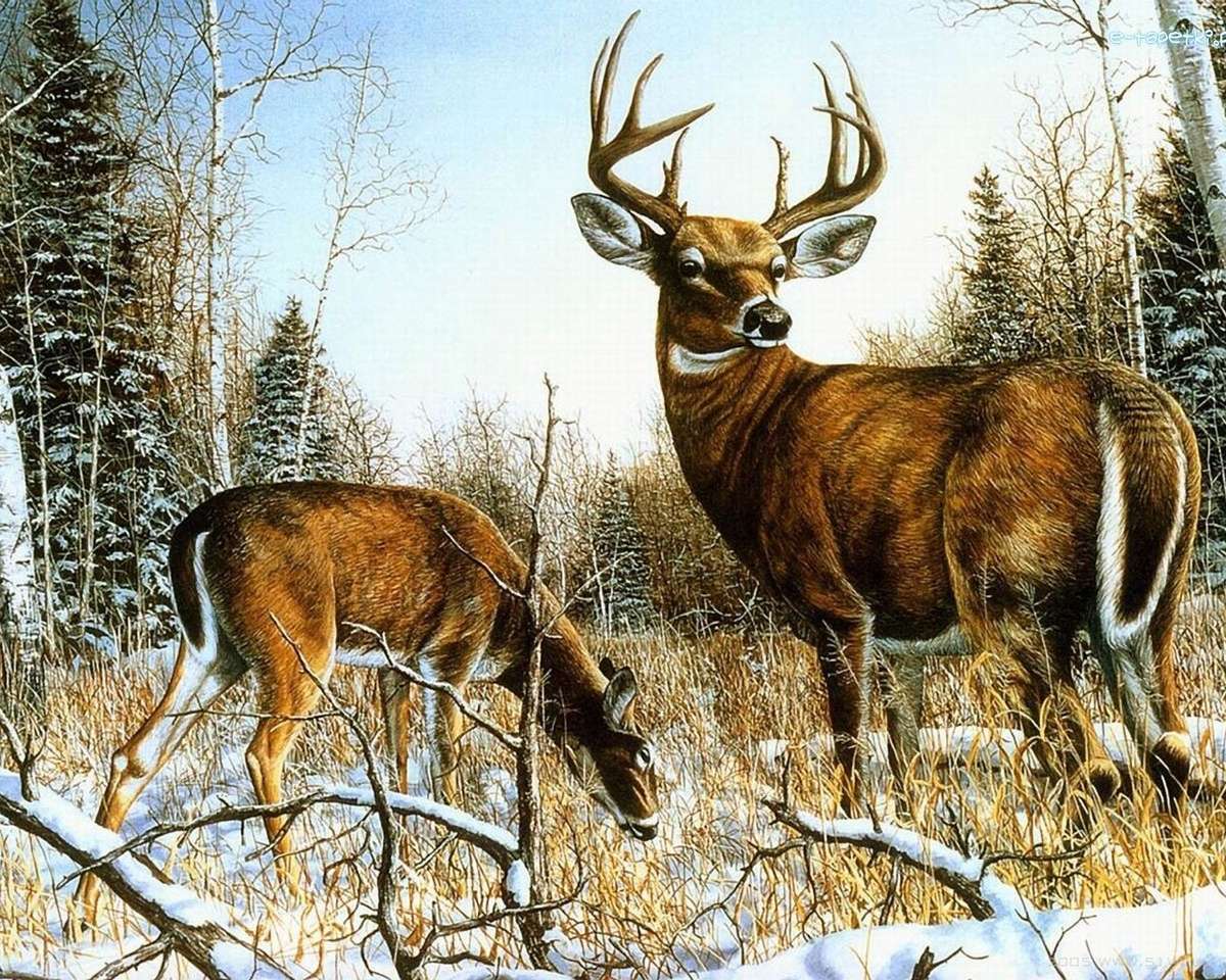 Deer in winter online puzzle