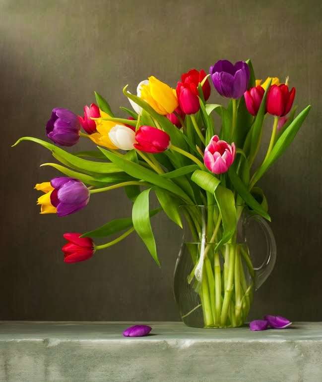 Tulipes colorées puzzle en ligne